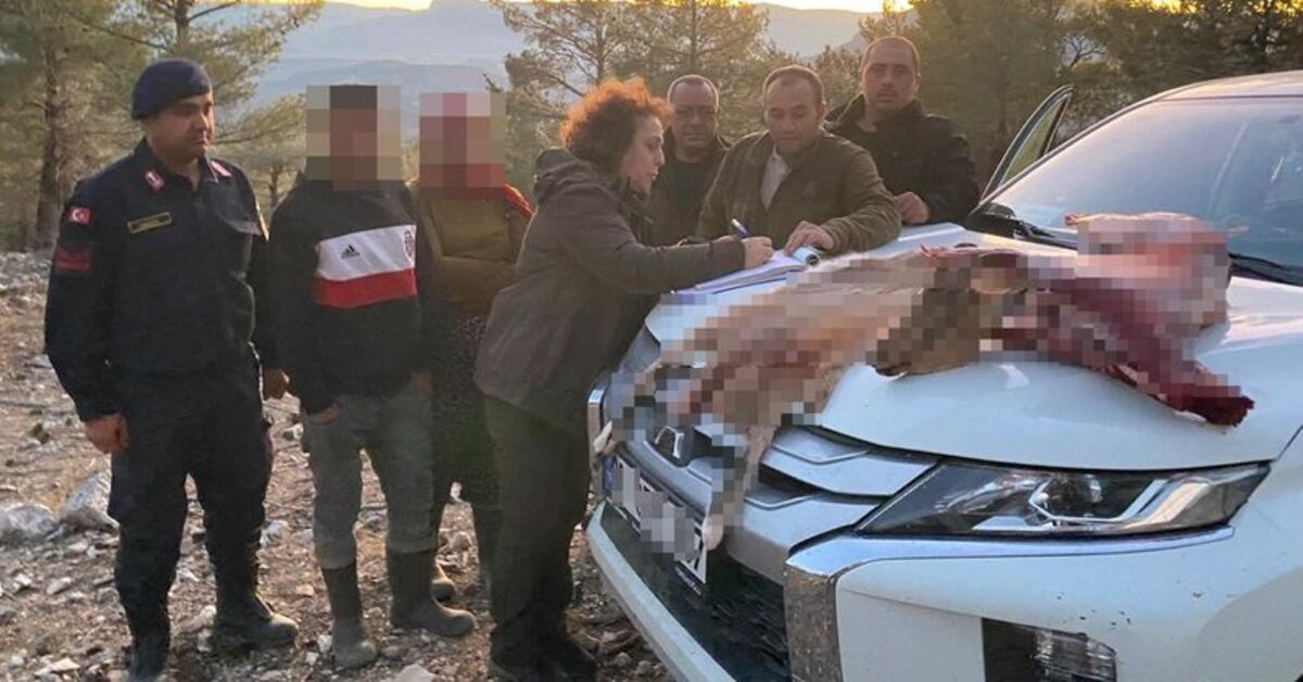 Mersin’de yaban keçisi avına 673 bin 766 lira ceza