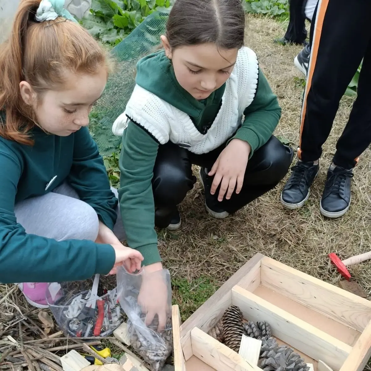 Tekkeköy’de Doğa Dostu Proje